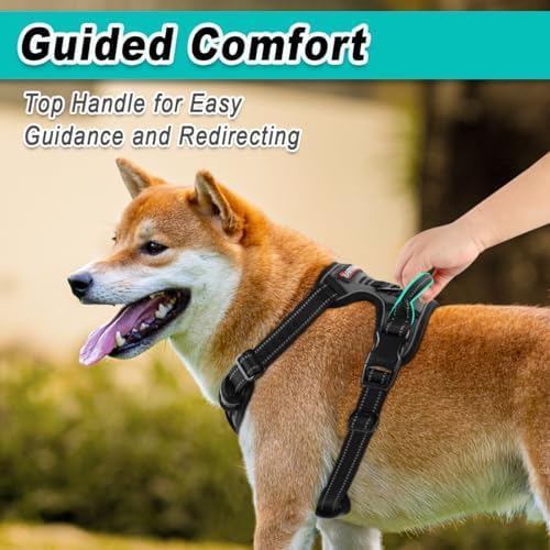 BARKBAY Dog Harness for Large Dog No Pull 2 Leash Clips Dog Vest