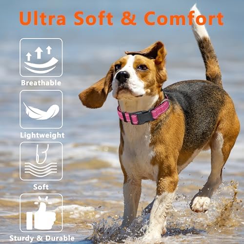 Seyezo Reflective Dog Collar, Soft Neoprene Padded Collar(Hotpink,S)