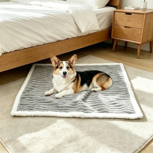 Waterproof Dog Blanket Soft Pet Cat Blanket 30x40 in Cream