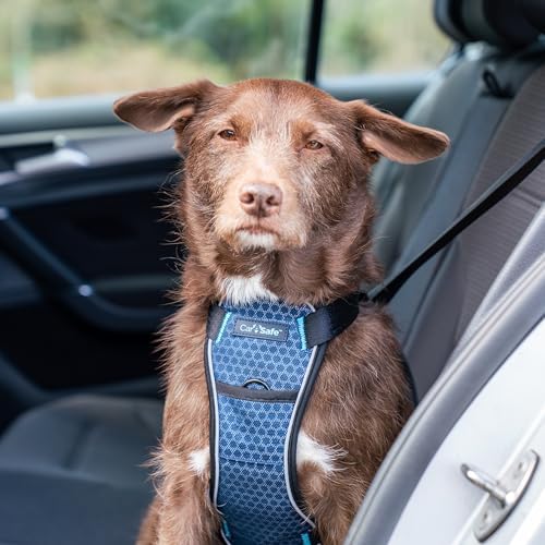 CarSafe Crash Tested Dog Safety Harness | Size S