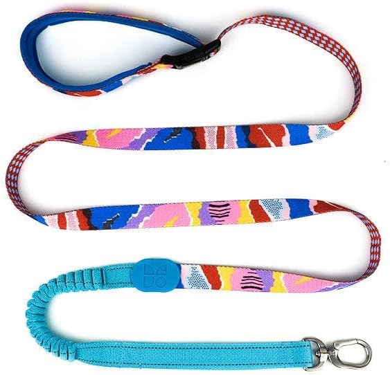 Adjustable Stretch Dog Leash - 3 in 1 Hands Free (Mountain)