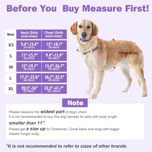 No Pull Dog Harness - Adjustable Reflective Dog Vest with Metal Snap, Soft Breathable Mesh No Choke Puppy Harness, Easy to Put on & Take Off (Purple-XS)