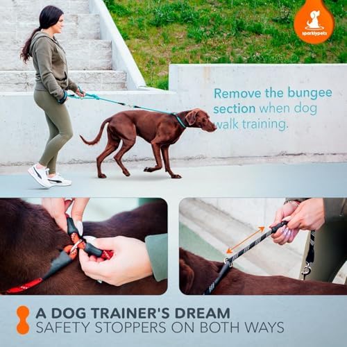 SparklyPets - Bungee Rope Handsfree Leash for 1 Dog - Demovable Slip Lead - Waist or Hip Belt Leash for Dog Walking, Running, Carnicross - Medium & Large Breeds