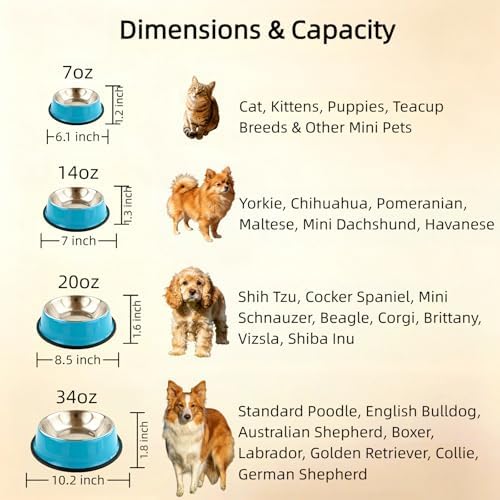 Stainless Steel Dog Bowls, Non-Slip Pet Food Water Bowls 2 Pack, Dishwasher Safe for for Cats Puppies Small Medium Large Dogs (Blue, 4¼ Cup / 34 oz)