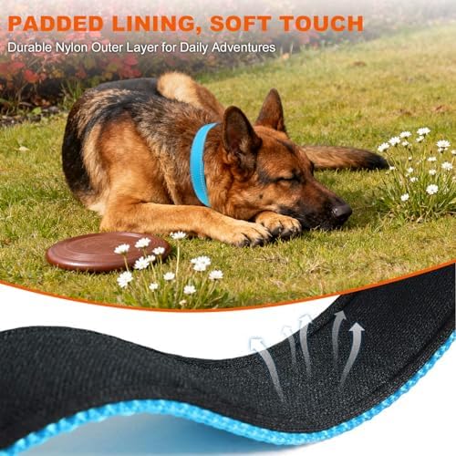 Taglory Reflective Extra Large Dog Collar, Comfortable for Safe Night Walks