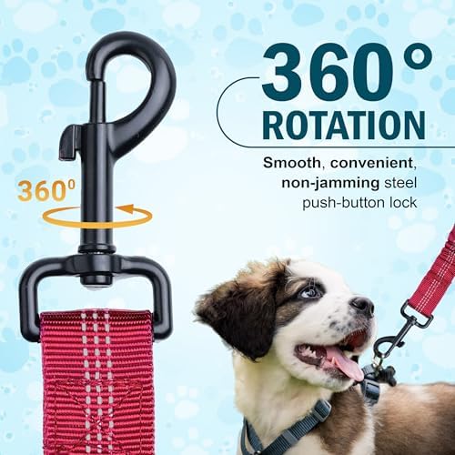 Hands Free Dog Leash for 2 Dogs – Waist Leash for Dog Walking with Dual Bungee, Reflective No Pull Design, Adjustable Belt & Pouch for Running, Hiking, Jogging