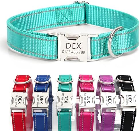 Personalized Reflective Nylon Dog Collar with Metal Buckle, Teal