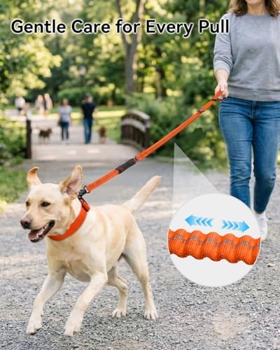 Joytale Tactical Bungee Dog Leash, Shock Absorbing No Pull, Orange