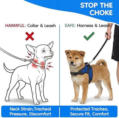 No Pull Reflective Adjustable Dog Harness With Handle- Comfortable Soft All Weather Mesh, Easy On Puppy Harness For Small Medium and Large Dogs (Blue) XX-Small