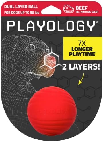 Playology Durable Dual Layer Dog Ball Toy - Medium, Beef Scent