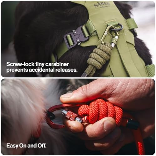 Säker Trust™ Rope Dog Leash – 61” Climbing Rope Lead with 7075 Aluminum Carabiner, Waterproof & Reflective Training Gear for Dogs, Built for Trail Running, Hiking, Everyday Use – Purple