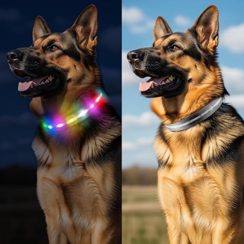 Light Up Dog Collar, Rechargeable 6 Modes, Waterproof Charging Port
