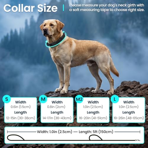 VIVAGLORY Double Handle Dog Leash Twingrip, 5ft x 1in, S, Neon Yellow