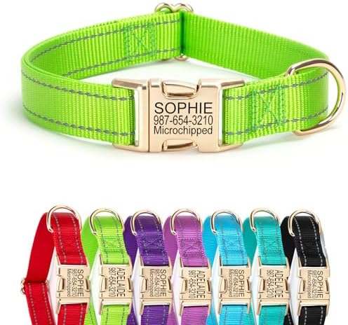 Personalized Reflective Nylon Dog Collar with Golden Buckle, Green