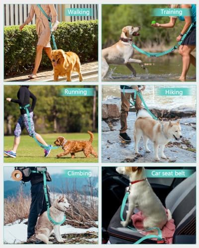 Hands Free Dog Leash with Seatbelt Set, Adjustable 5.9-9.5ft