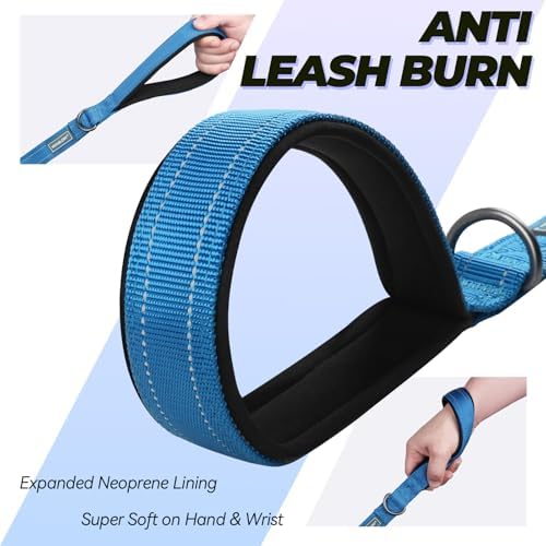 VIVAGLORY Double Handle Dog Leash Twingrip, 5ft x 1in, Navy