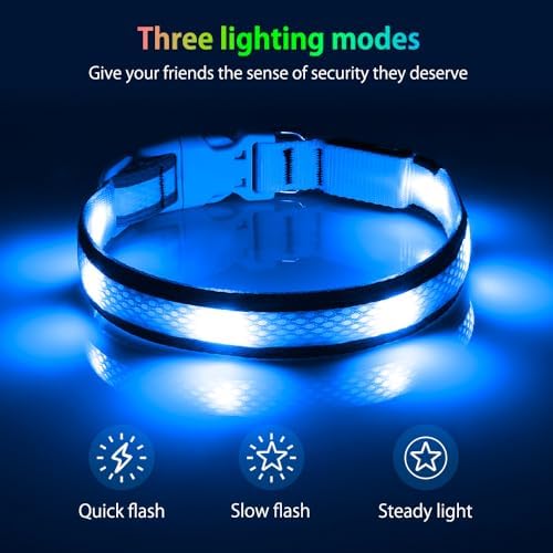 Illumifun Light Up Dog Collar, USB Rechargeable LED Dog Collar Glow in the Dark, Reflcetive Safety Glow Collar for Dogs Walking at Night (Small, Light Blue)