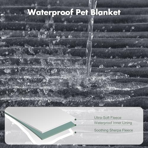 Waterproof Puppy Blankets for Small Dogs - Cozy Fleece Calming Cat Blanket for Couch Furniture Protector, Washable Dog Blankets for Indoors & Outdoors, Grey, 25"x35"