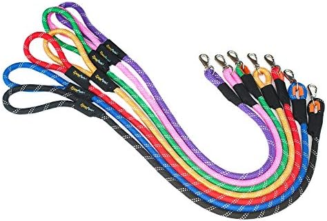 ZippyPaws Climbers Rope Heavy Duty Dog Leash, 6 Feet Long - Purple