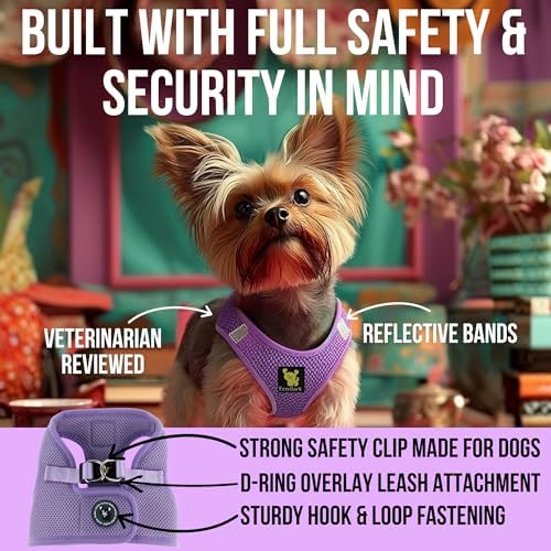 EcoBark Teacup Dog Harness, Step in Reflective & Adjustable Halter Vest