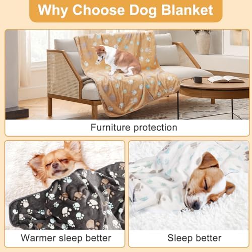 3 Pack Blanket for Large Dogs Soft Reversible Cute Paw 40"x31"