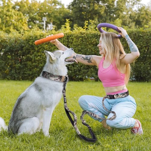 TSPRO Shock Absorbing Hands-Free Bungee Dog Leash with Car Safety Tether