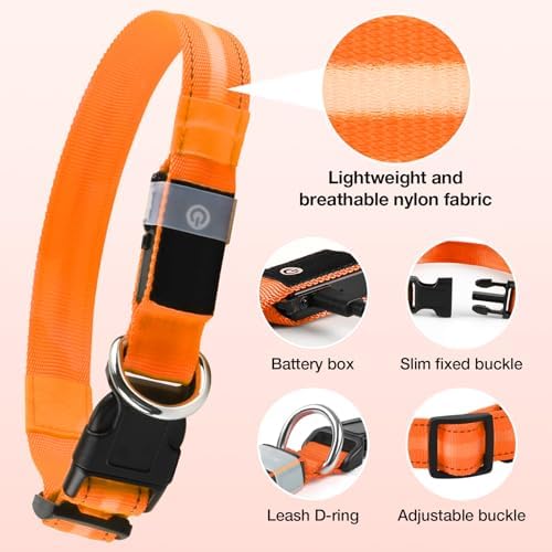 Light Up Dog Collar, Rechargeable 6 Modes, Waterproof Charging Port