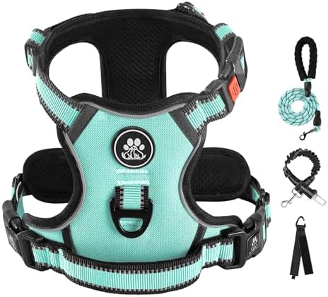 IVY&LANE No Pull Dog Harness for Large Dogs,Reflective Dog Vest Harness | No Choke,Fully Adjustable,Soft Handle,with Leash, Safety Belt and Storage Strap,Turquoise,XL