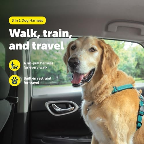 PetSafe Easy Walk 3 in 1 No Pull Dog Harness, Teal, Large