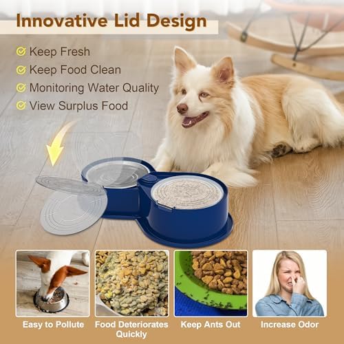 Newget 304 Stainless Steel Dog Bowl Set with Lids, 24oz Foldable Pet Dishes
