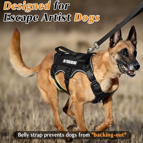 WINSEE Escape Proof Dog Harness with Double Handle+4 Removable Patches