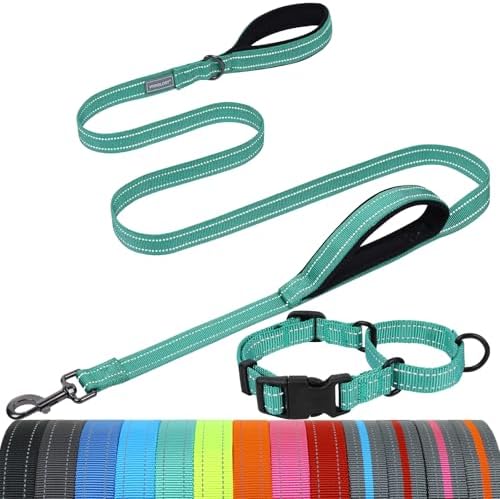 VIVAGLORY Double Handle Dog Leash Twingrip, 5ft x 1in, M2, Turquoise