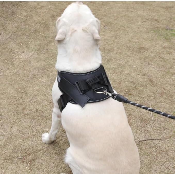 Dogshood Dog Harness, No-Pull Harness Design (Green,XXL)