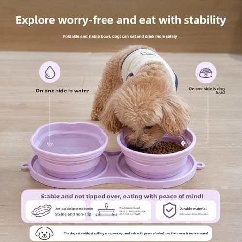 Portable Collapsible Dog Bowl, 2-in-1 Foldable Pet Feeding & Water Dish with Carabiner – Lightweight Travel Bowl for Dogs & Cats, Perfect for Walking, Hiking, Camping (Pink)