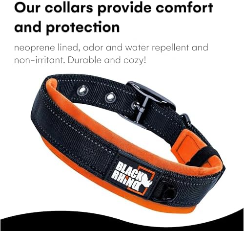 Black Rhino Dog Collars for Medium Dogs - Adjustable Reflective Heavy Duty Dog Collar with Ultra-Soft Neoprene Padding - Weatherproof, Durable, and Comfortable for Active Dogs - Orange and Black