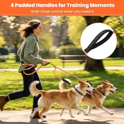Hands Free Double Dog Leash, 4 Reflective Padded Handles, Adjustable Waist Belt 27-51", Shock-Absorbing Bungee, 360° Swivel Clips, for Small, Medium & Large Dogs, Walking Jogging Running