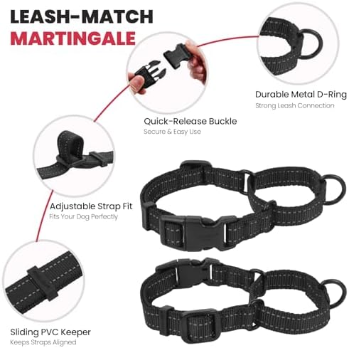 VIVAGLORY Double Handle Dog Leash Twingrip, 5ft x 1in, L, Black