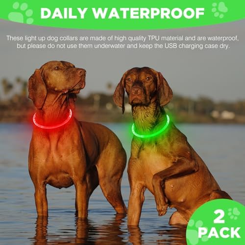 2 Pack Light Up Dog Collar, USB Rechargeable Dog Collar Light for Night Walking, Led Lighted Collar, Glow in the Dark Collar for Small Medium Large Dogs (Red+Green)