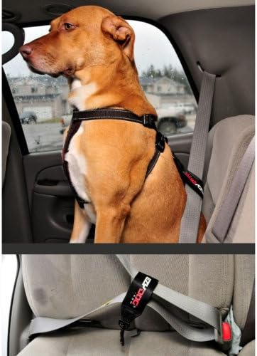 EzyDog Universal Dog Seat Belt Restraint for Cars