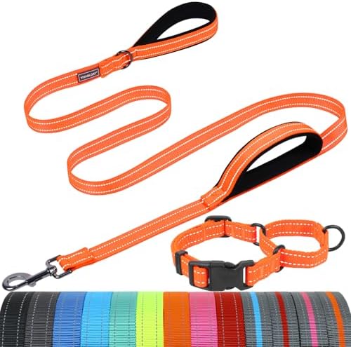 VIVAGLORY Double Handle Dog Leash Twingrip, 5ft x 1in, L, Orange