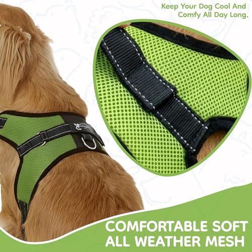 No Pull Reflective Adjustable Dog Harness with Handle- Comfortable Soft All Weather Mesh, Easy On Puppy Harness for Small Medium and Large Dogs (Green) X-Large
