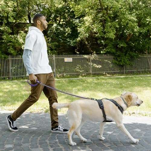 Chain Dog Leash, Bite-Proof Metal Leash, with Padded Handle