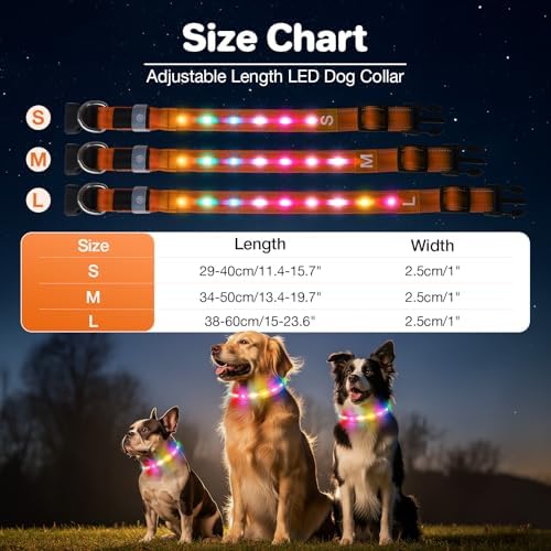 Light Up Dog Collar, Rechargeable 6 Modes, Waterproof Charging Port