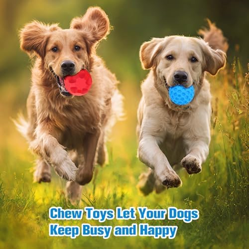 2 Pack Dog Toy Balls for Aggressive Chewers, Treat Ball and Squeaky Ball