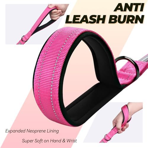 VIVAGLORY Double Handle Dog Leash Twingrip, 6ft x 1in, Pink-Carabiner