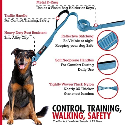 Tuff Pupper Heavy Duty Double Handle Leash | Twist Locking Carabiner Clip | Safety Lock for Strong Dogs | Reflective for Safe Night Walks | 6 Foot Leash | For Medium & Large Dogs