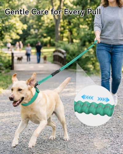 Joytale Tactical Bungee Dog Leash, Shock Absorbing No Pull, Teal