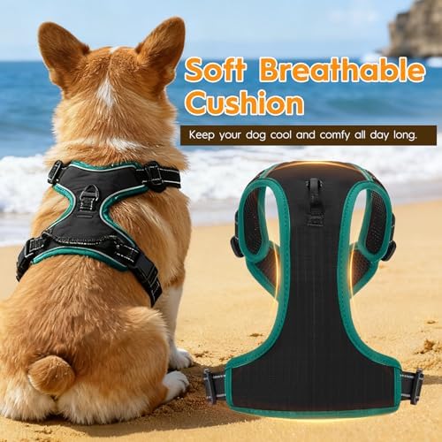 No Pull Dog Harness, No-Choke Soft Padded Reflective Dog Vest Harness with Front Clip & Top Handle, 2 Quick-Release Buckles, Adjustable for Small Medium Large Dogs