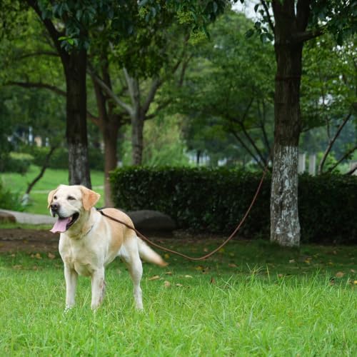 Long Dog Leash, 10ft 30ft 50 feet Heavy Duty Dog Training Leash, Aviation Aluminum Auto Locking Carabiner, Nylon Rope Long Line Check Cord Recall Lead for Yard,Playing,Camping,Yellow,50FT