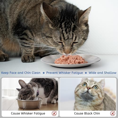 Stainless Steel Cat Bowls, 6.7" Wide and Shallow Cat Food Bowl Set with Silicone Ring for Non Slip, Flat Metal Cats Dishes or Plates for Feeding Indoor Cats, Kitten, Small Dogs (Silver-2 Pack)